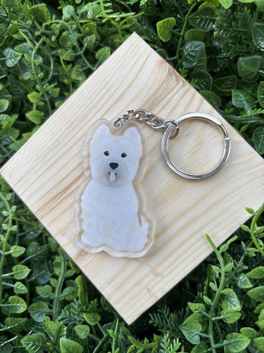 White westie west highland - westie,