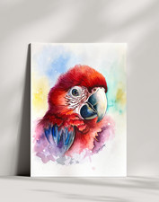 Crimson Majesty | Watercolor