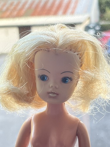 Vintage sindy pedigree gen - vintage,