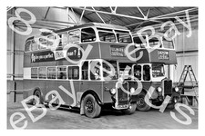 Bus Photograph RED & WHITE