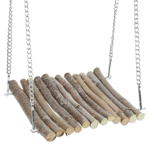 Bearded dragon accessories for - accessories,