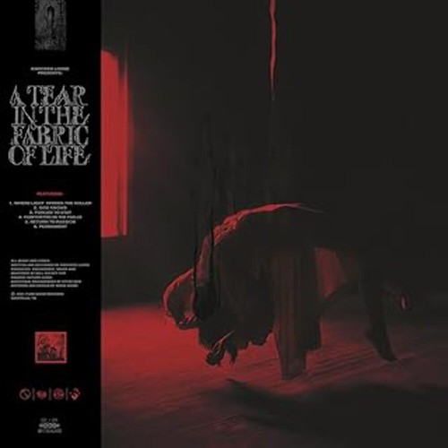 Knocked loose tear in - -, the