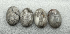 Crazy Lace Agate Cabochon - 4