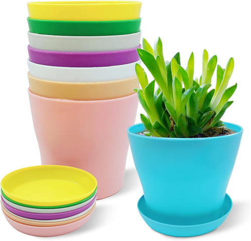 Pack plastic plant - pack,