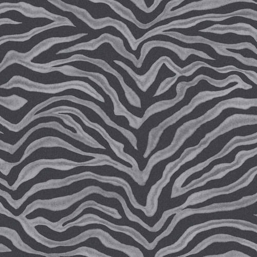 Galerie natural zebra - galerie,