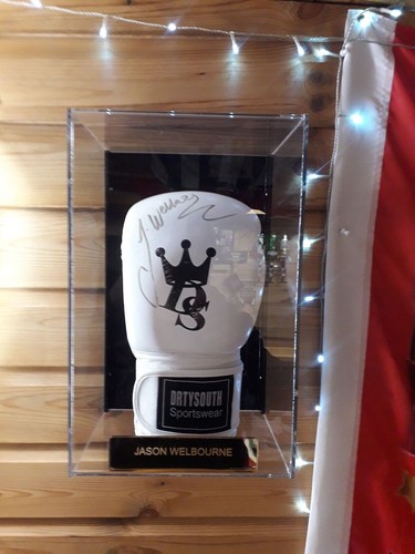 Boxing glove wall mounted - glove,