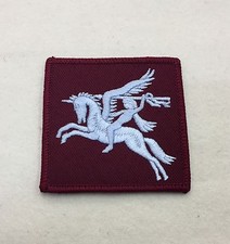 Airborne DZ Flash, Arm Badge
