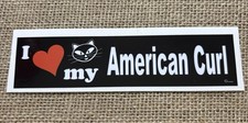 I Love My AMERICAN CURL Cat