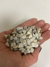 Aquarium Nordic 6 - 8mm