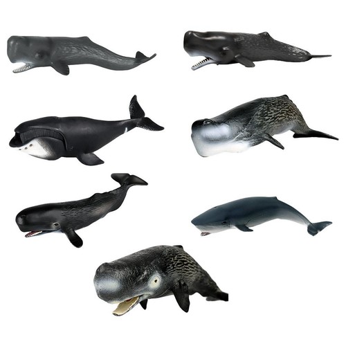 Realistic sea whale figures - sea,