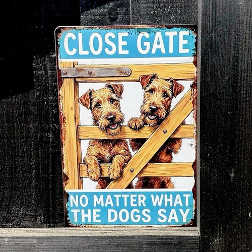 Irish terrier close gate - irish,