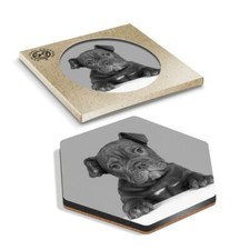1 x Hexagon Coaster - BW - Cute Old English Bulldog Puppy Dog #42763