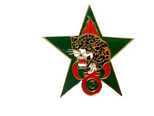 FOREIGN LEGION INSIGNIA 3°REI