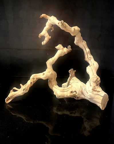 Driftwood manzanita aquascape - manzanita,
