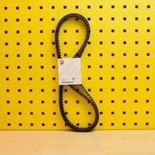 Timing Belt Genuine for