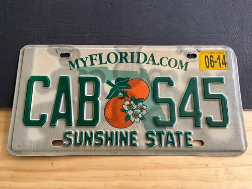 2014 florida license plate - florida,