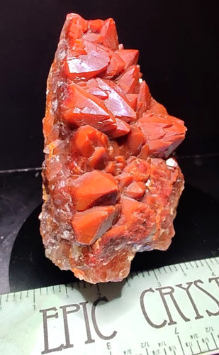 Large saturated red - saturated,