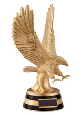 Victory Achievement Motion