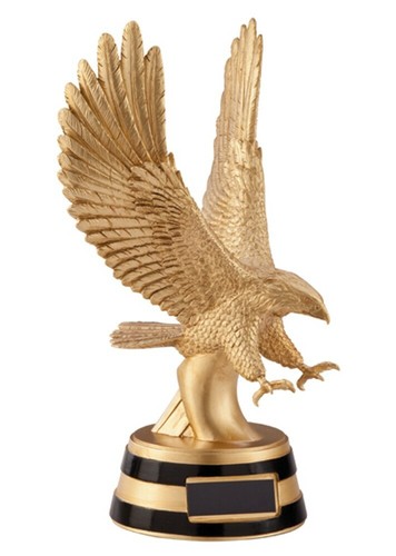 Victory achievement motion - achievement,