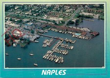 Picture Postcard> Florida, Naples, City Docks and Yacht Basin