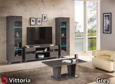 Vittoria Grey Italian 2x Single doors 1x tv Stand £999