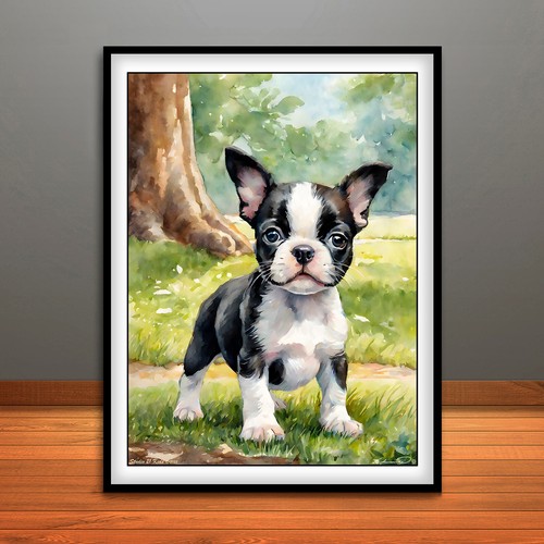 Boston terrier puppy - boston,