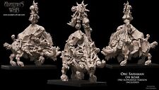 Orc Shaman on Boar- Avatars of