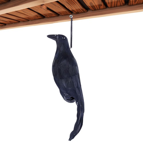 Garden crow decorate - garden, ornament