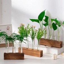 Hydroponic Plant Display Set