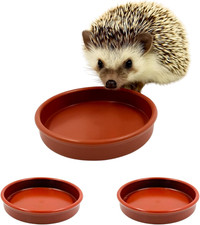 Hedgehog Bowl for Food and