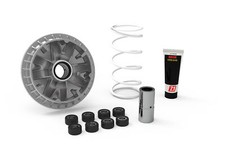 MALOSSI 5116277 VARIATOR