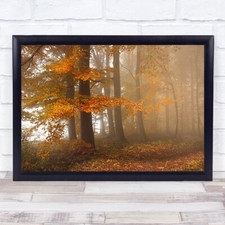 Edge Of The Woods Fall Autumn