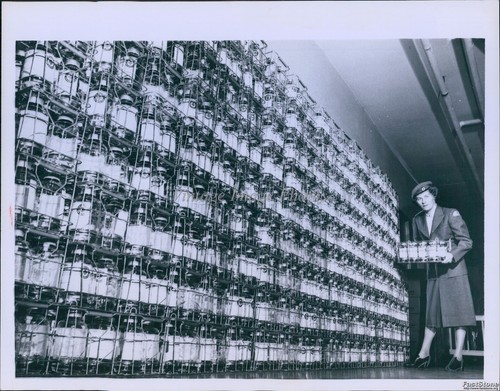 1959 photo marjorie jamieson - marjorie,