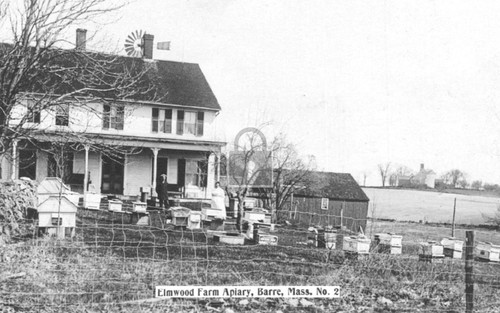 Elmwood farm apiary bee - elmwood, hives