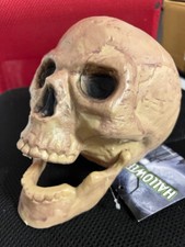 Halloween Horror Realistic