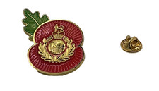 Royal Marines pin Marines