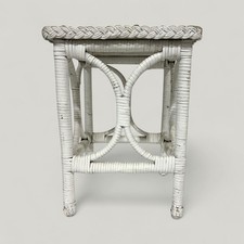 Small Wicker Rattan Plant