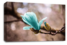 Floral Wall Art Duck Egg Living Room Bedroom Framed Canvas Picture Ready to Hang