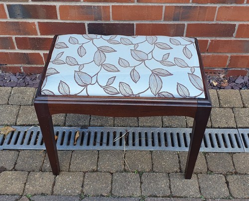 One stag minstrel dressing - one,