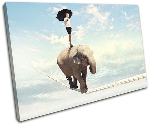 Elephant tight rope surrealism - elephant,