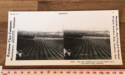 000 acres orange groves - 10,000,