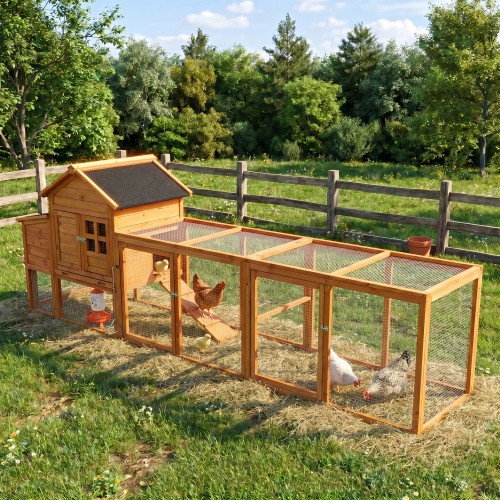 Large chicken coop with run - large,