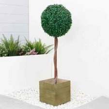 Solar Single Bay Ball Tree in