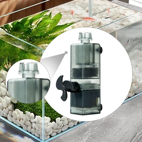 Aquarium surface protein - aquarium,