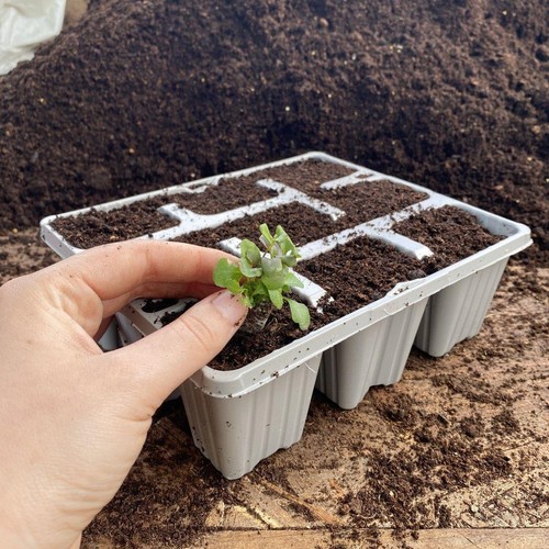 Cell recyclable grey plastic - recyclable,