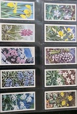 Brooke Bond Tea Cards Wild