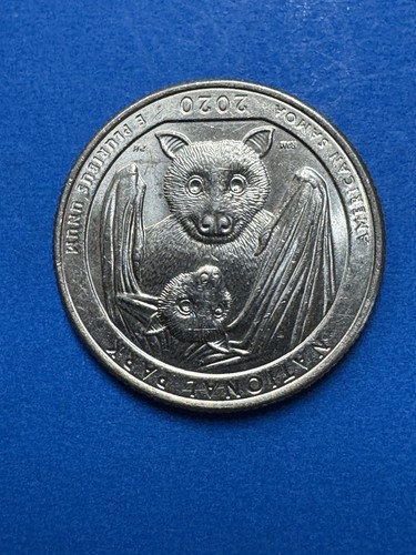 2020 american samoa - samoa, bat