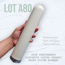 Lot A80 Diatomite Ceramic Water Filter Element Nano-Silver Remineraliser 24cm