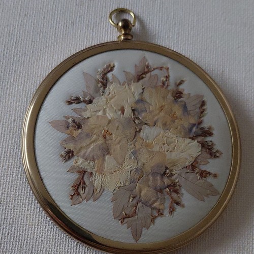 Round framed pressed dried - round,