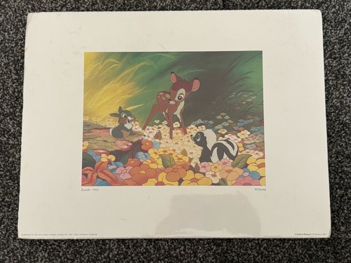 Disney store lithograph - store,